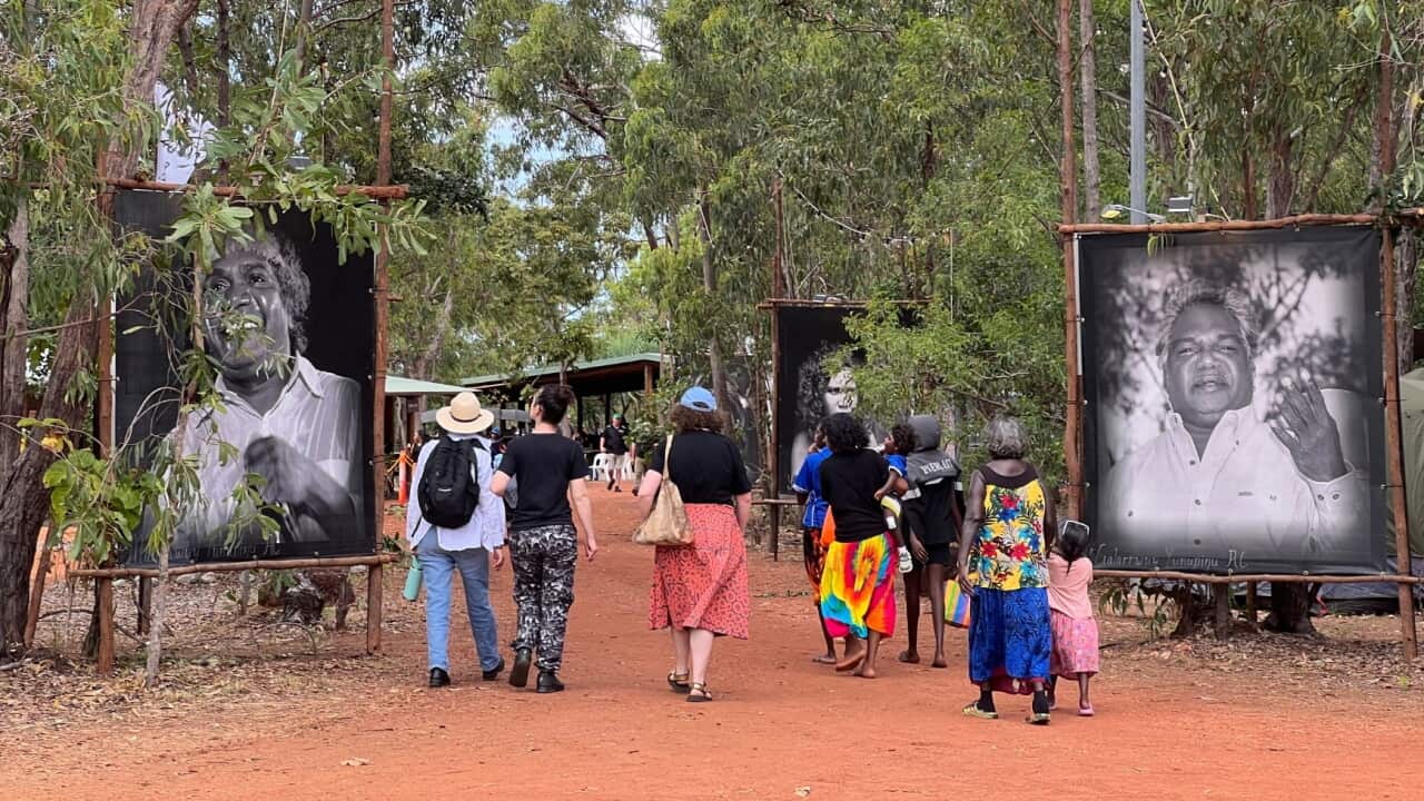At the Garma Festival.jpg