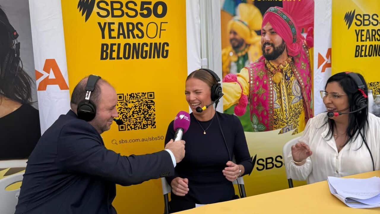 WhatsApp Image 2026-03-23 at 5.43.32 PM.jpeg