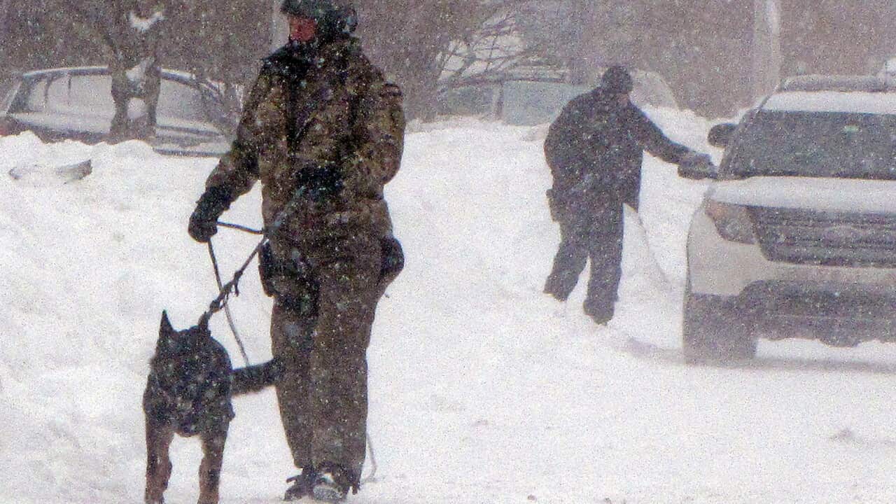 Canadian police foil mass shooting plot