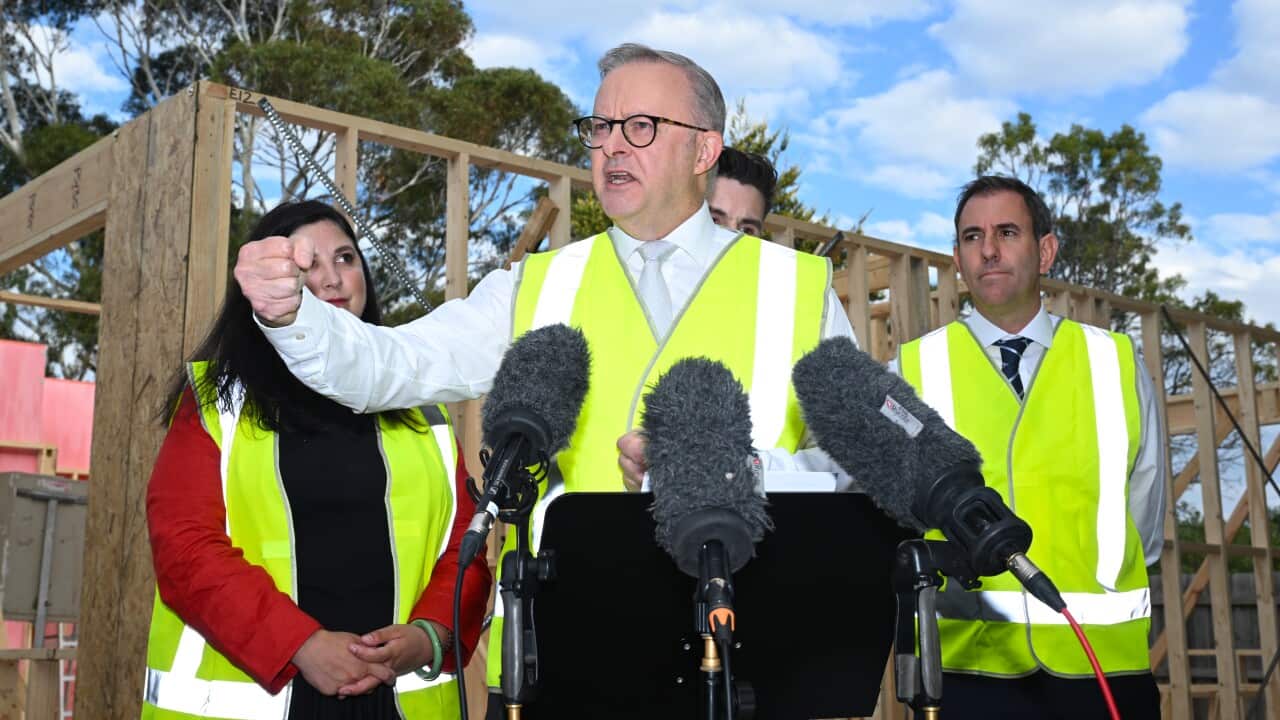 ELECTION25 ANTHONY ALBANESE CAMPAIGN