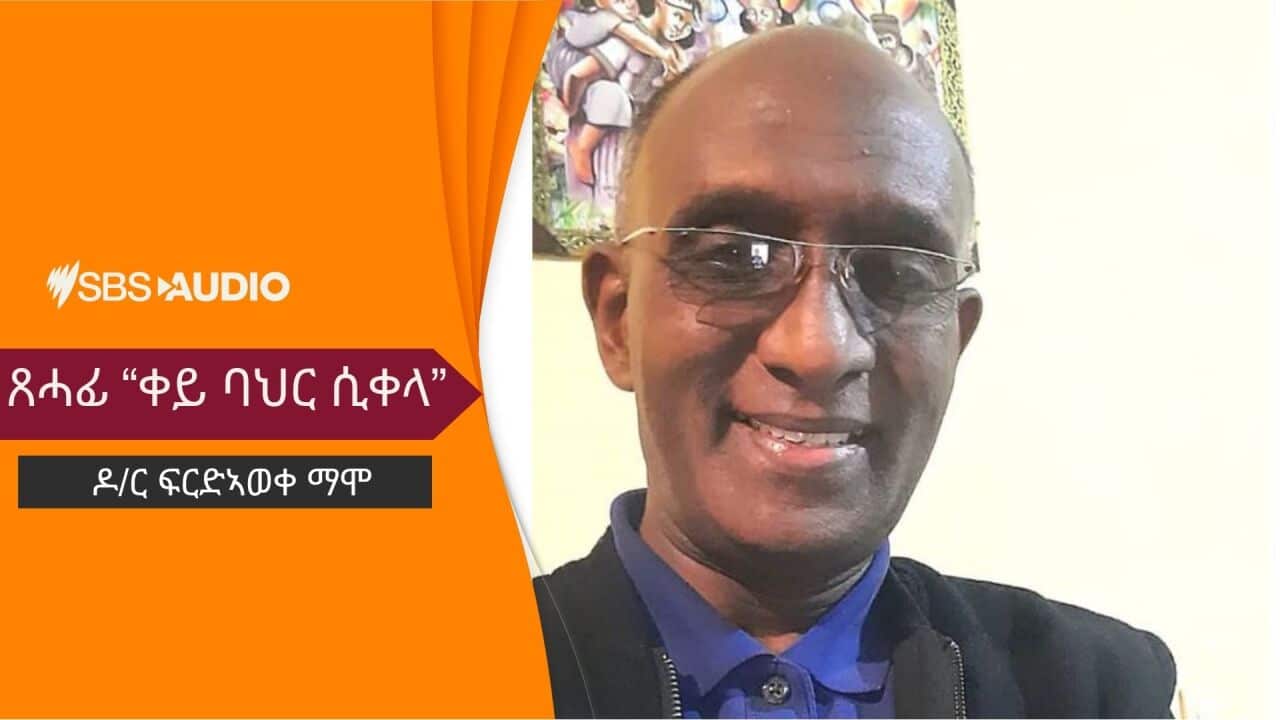 ዶ/ር ፍርድ ኣወቀማሞ