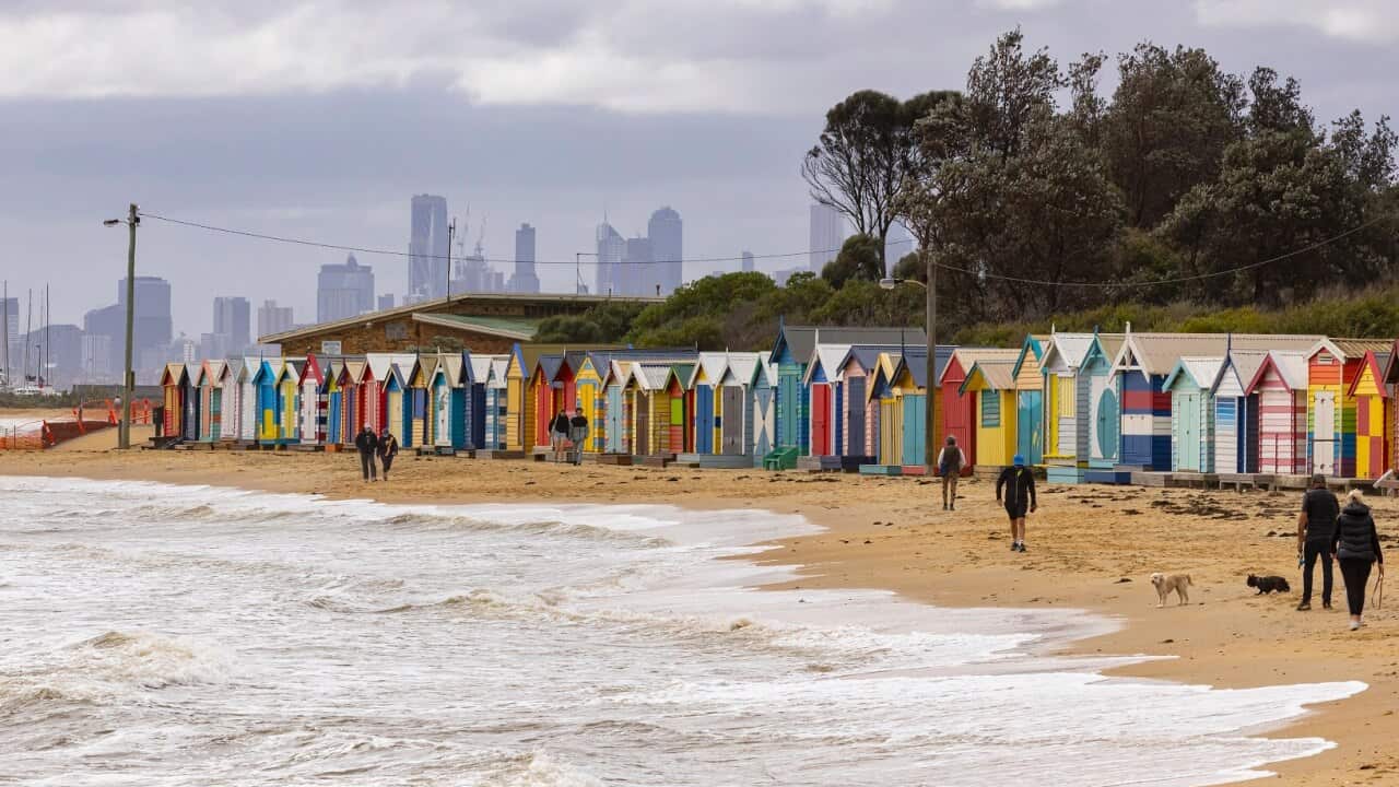 根據一個最新的數據顯示,一些英語語言能力較低的人士,他們接種疫苗的比率仍然比總體的接種數字落後