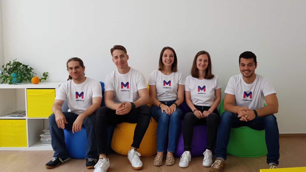Melberry team