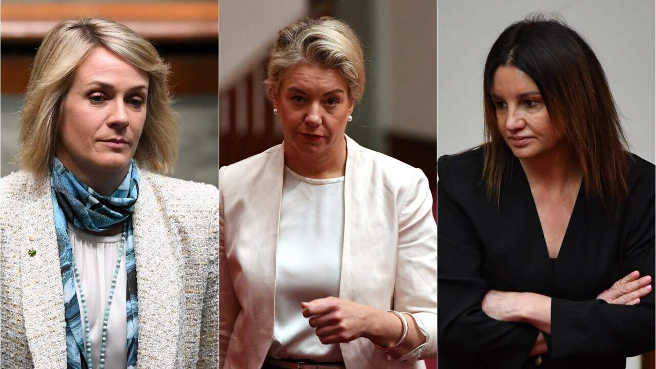 Senator Bridget McKenzie is under pressure over her handling of a $100 million sports grants program.