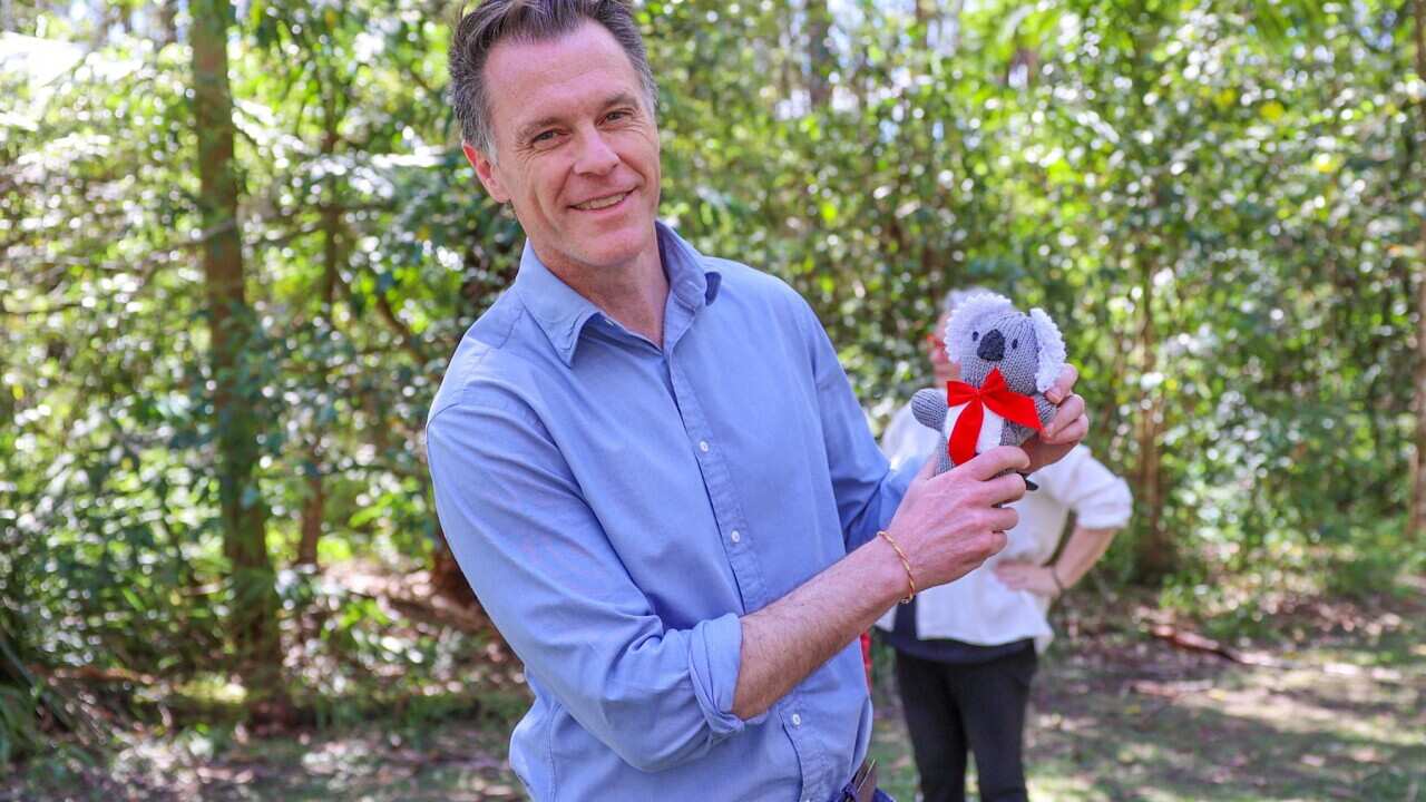 thumbnail_New South Wales Premier Chris Minns holds a toy koala as he makes the commitment to deliver the Great Koala National Park (AAP)(1).jpg