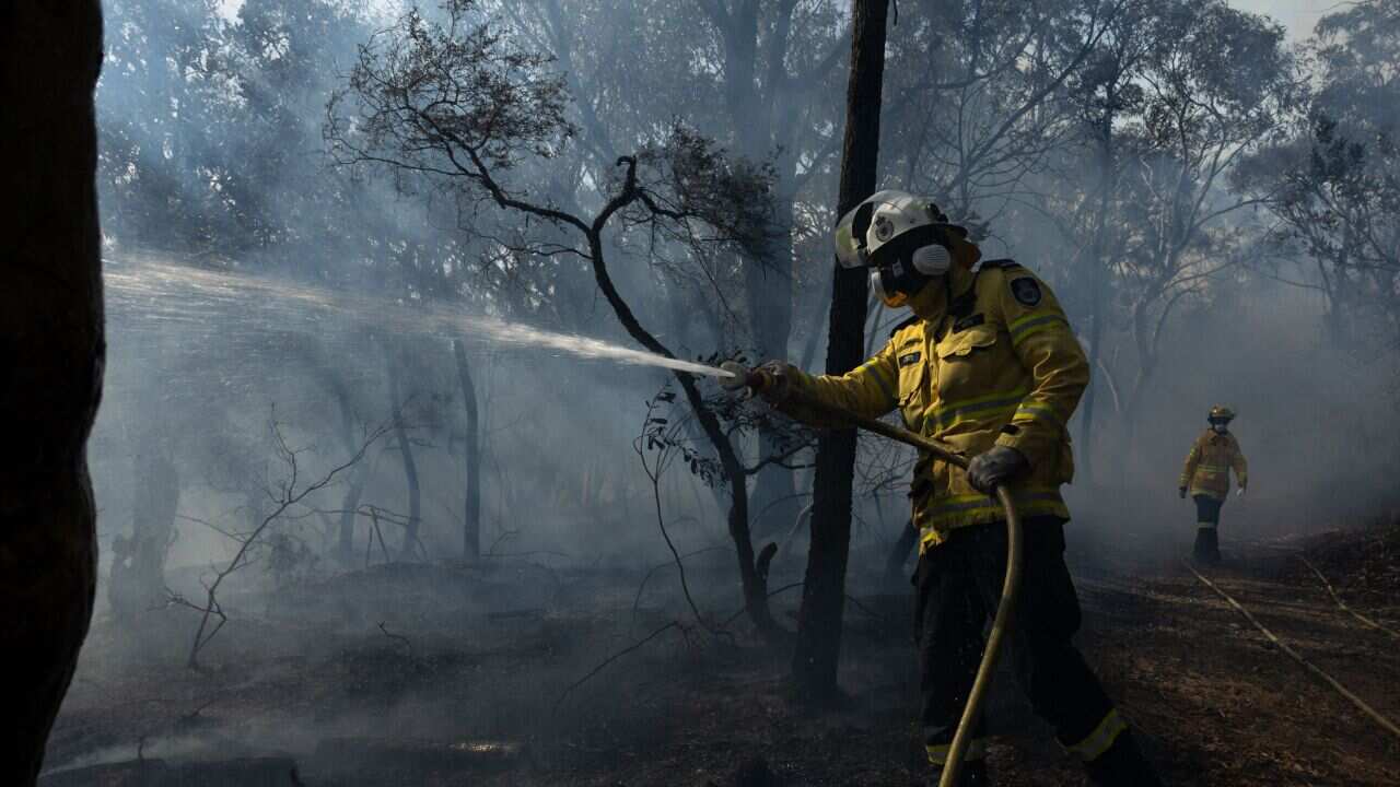 This picture taken on July 15, 2023 shows volunteer firefighters controlling a hazard reduction burn in north Sydney.