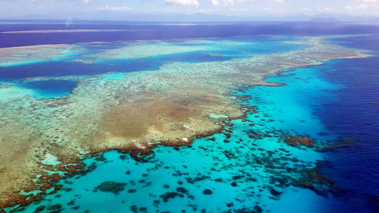Landscape of the Great Barrier Reef in the Coral Sea off the coast of Queensland, Australia, 2018.