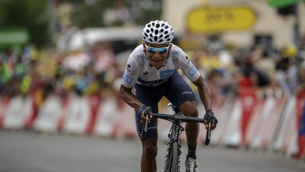Tour de France 2015 Stage 19, Nairo Quintana, Movistar