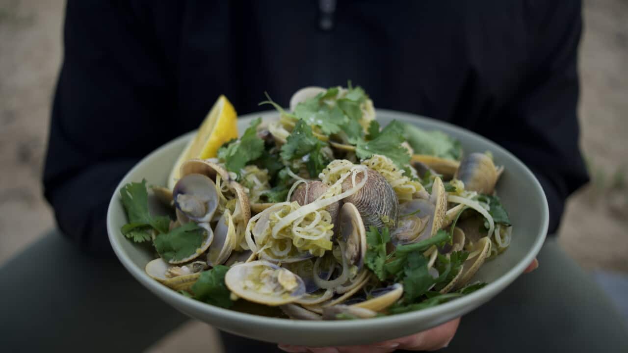 Lemon and garlic pipis