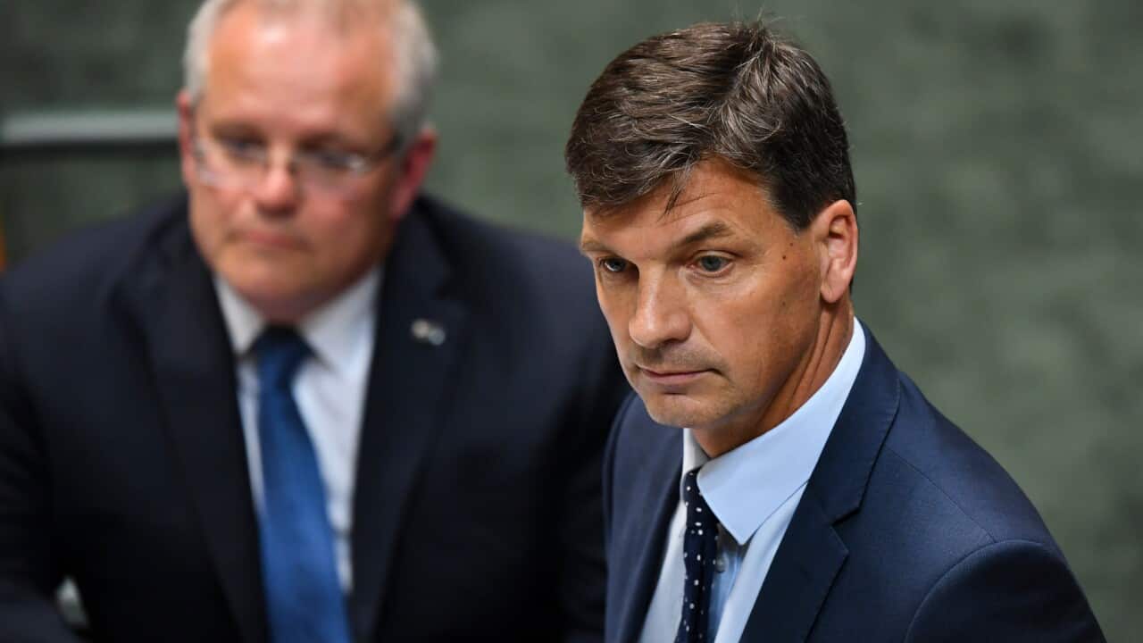 Embattled Energy Minister Angus Taylor during House of Representatives Question Time