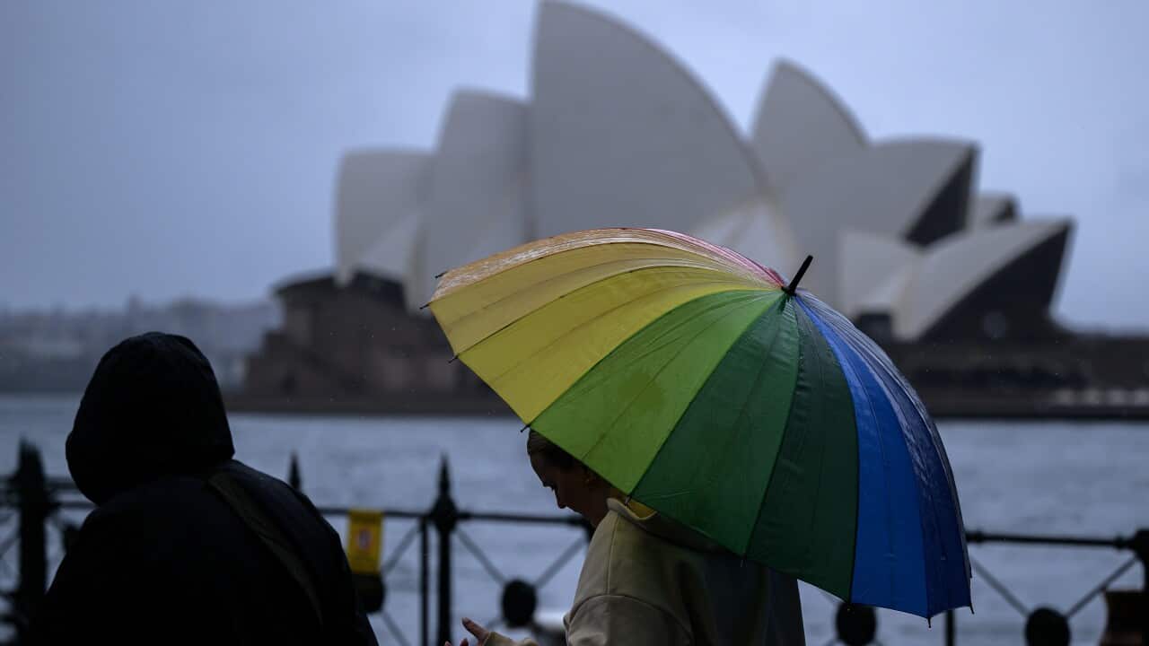 Image for read more article 'READ MORE'