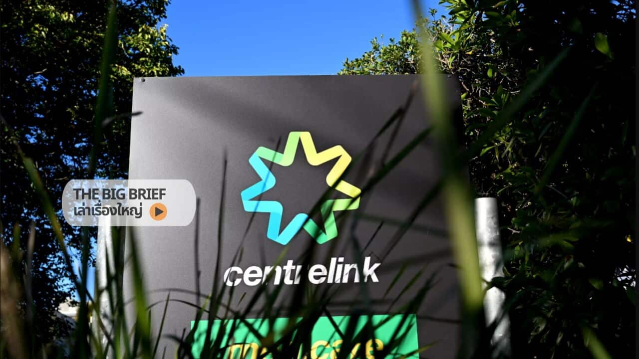 Centre link Copy of The Big Brief HEADER .jpg