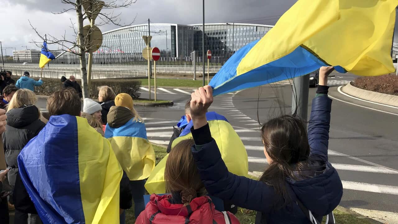 Belgium Ukraine Invasion