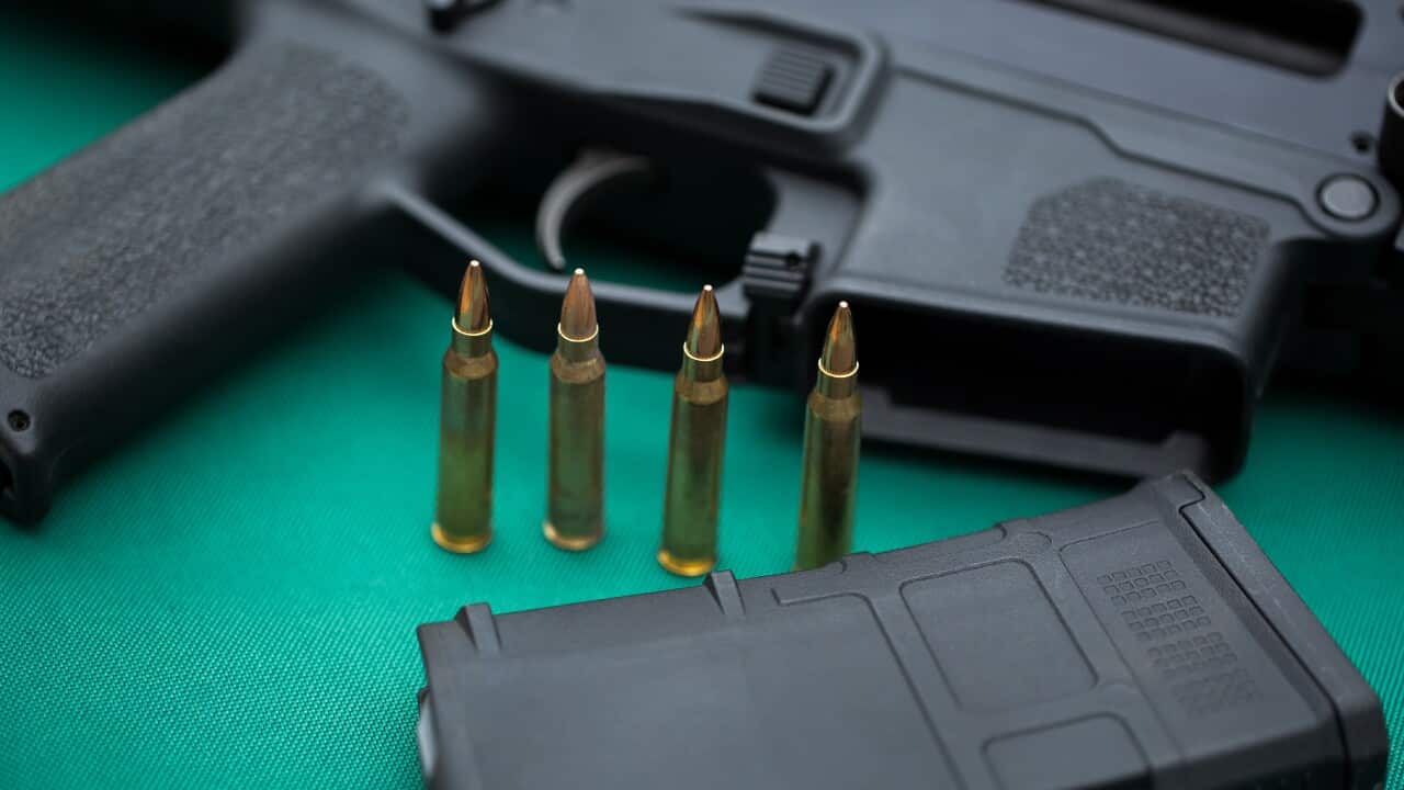 Shooting industry groups have criticised a report showing Australia has a record number of firearms.