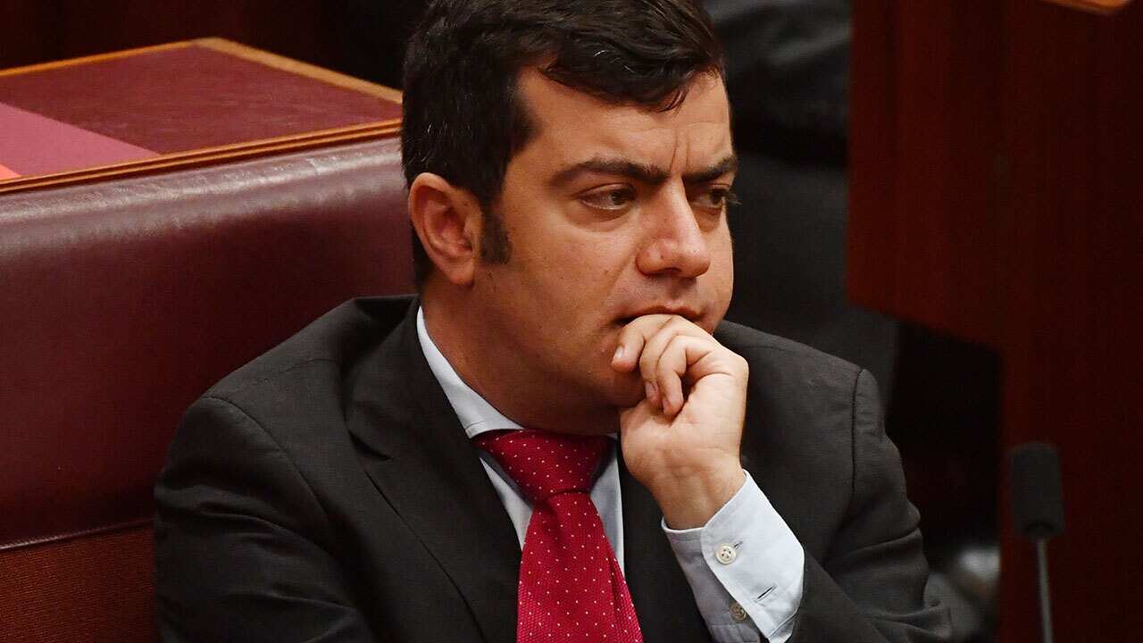 Labor Senator Sam Dastyari.