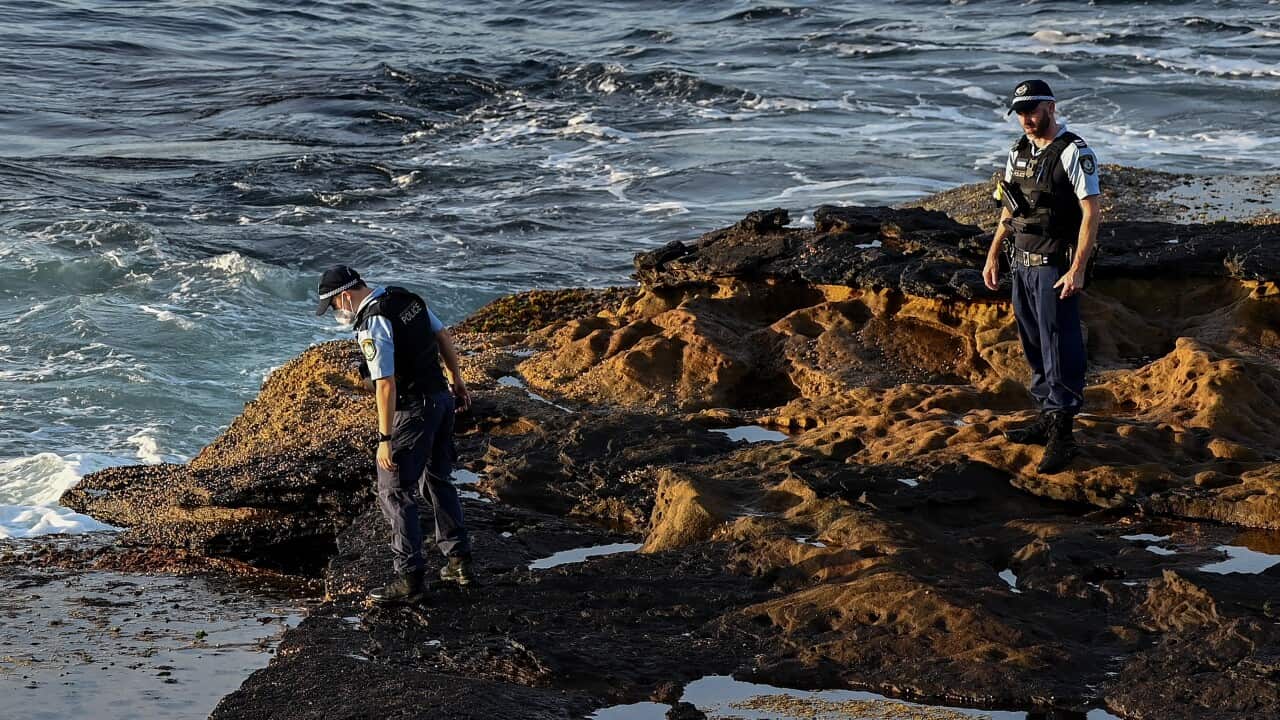 NSW Police search the waters edge at Buchan Point in Malabar, off Little Bay Beach in Sydney, on 17 February.