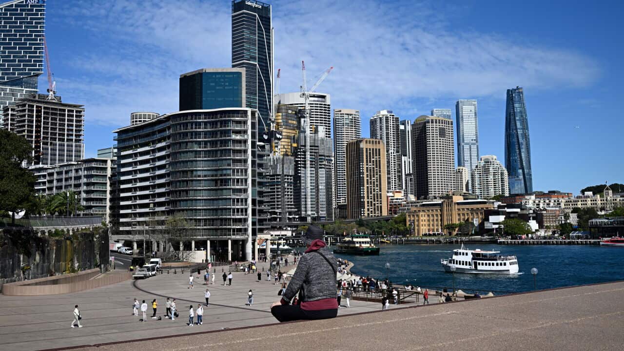 A person enjoying the view at Sydney Harbour.