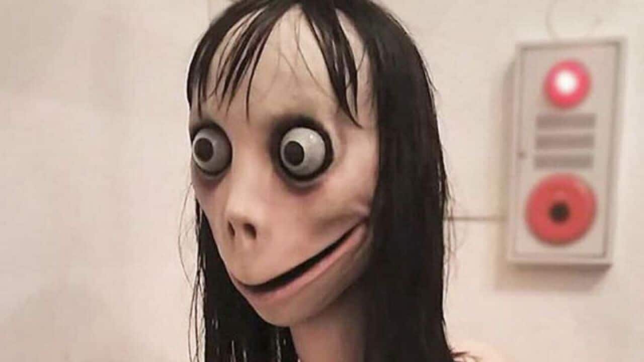 Image for read more article ''