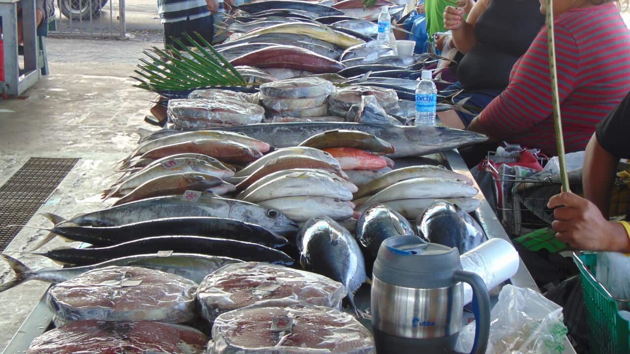 Image for read more article 'READ MORE'