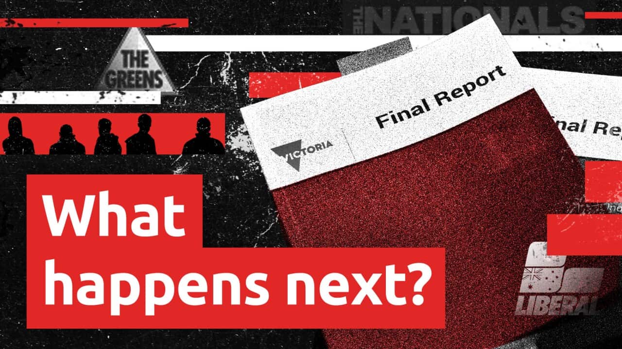 To the Extreme Episode What Happens Next (SBS).jpg