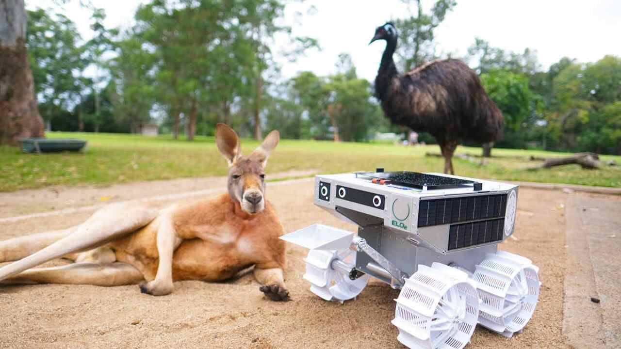 Pluto the kangaroo and an emu taking a closer look at ELO2 Australian made rover called Roover