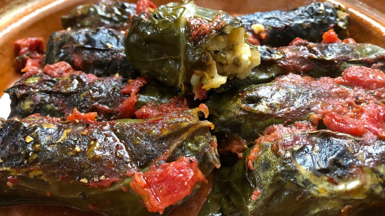 Image for read more article 'READ MORE'