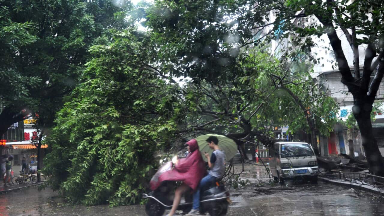 Southern China's Guangdong province during Typhoon Usagi