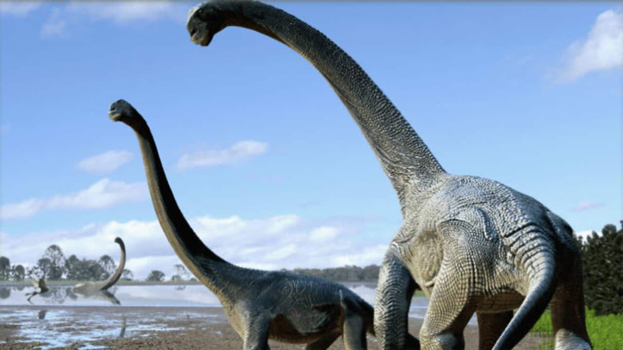 dinosaur