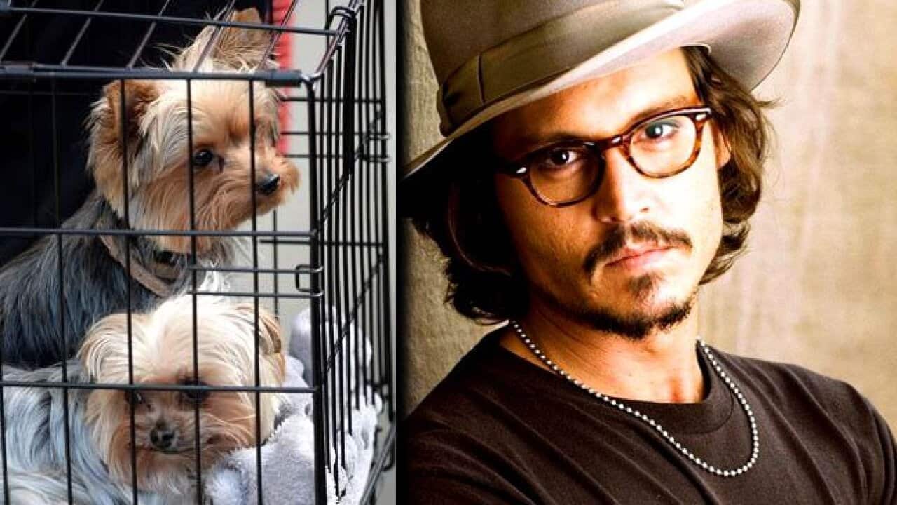 Johnny Depp