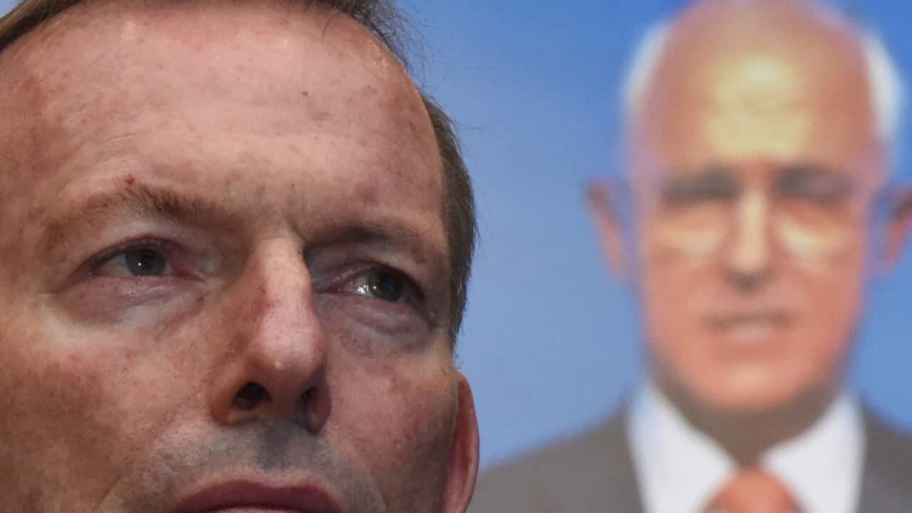 Tony Abbott listens to Australian Prime Minister Malcolm Turnbull