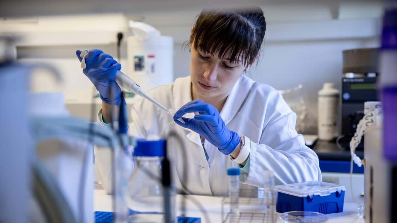 Die Omikron Variante wird untersucht