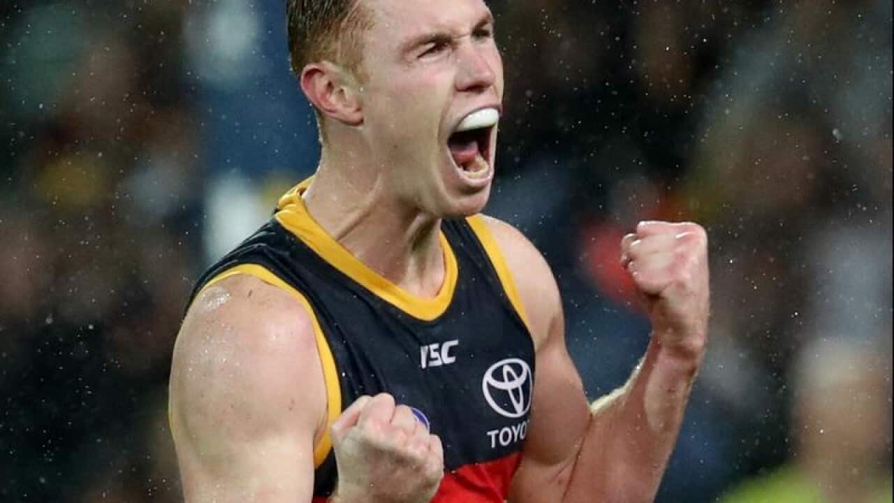 Tom Lynch