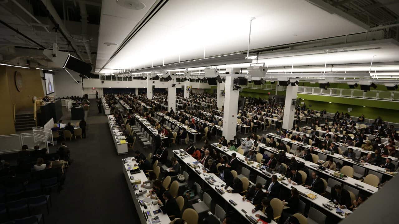 USA NEW YORK UNITED NATIONS GENERAL ASSEMBLY