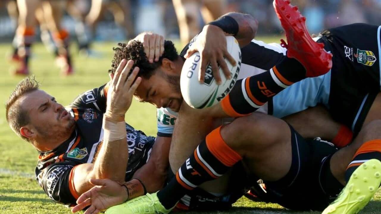 Tigers