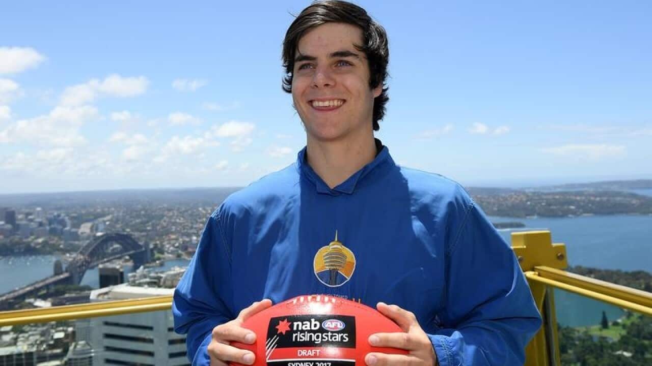 Darcy Fogarty.