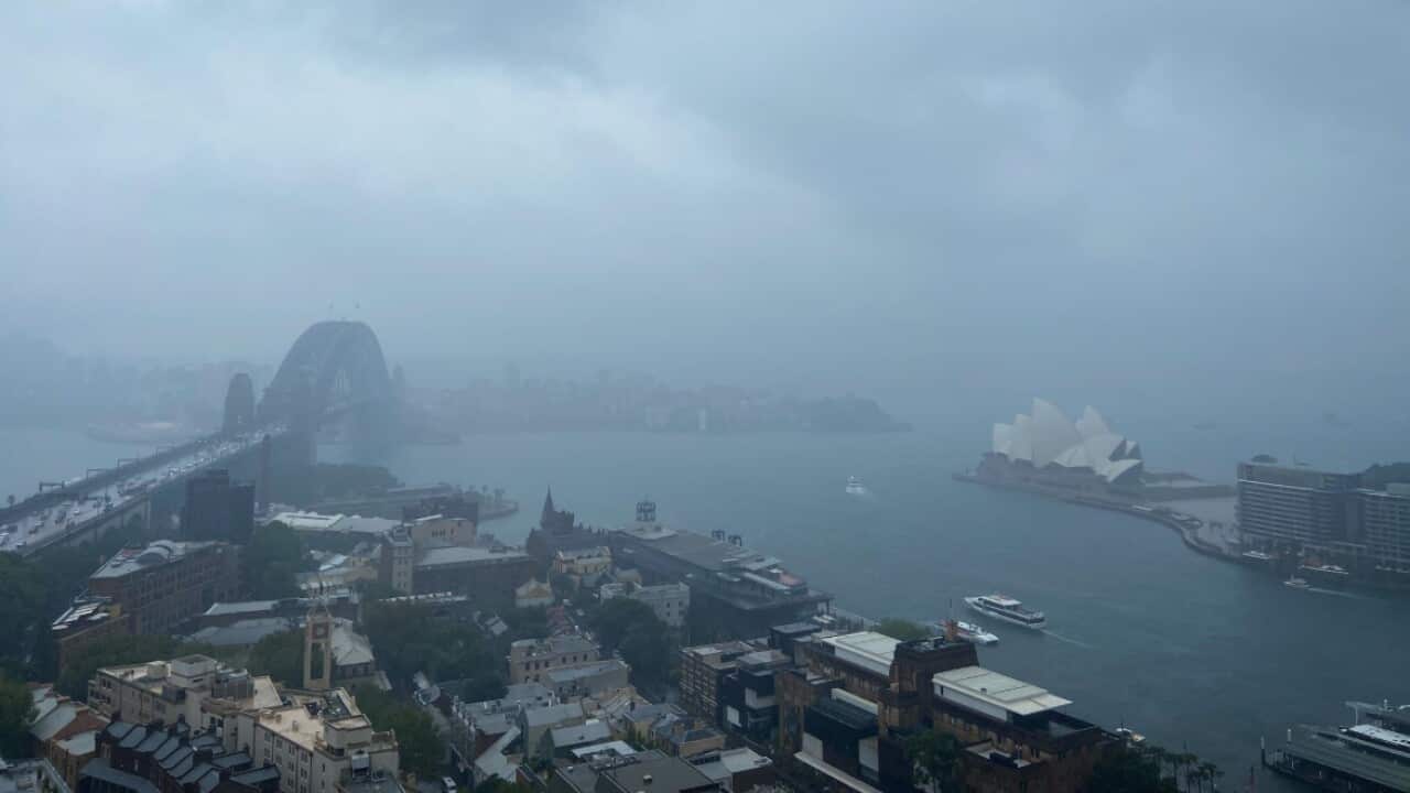 Sydney is expected on Friday to receive 10-25mm while up to 50mm are forecast for parts of the state along with thunderstorms.