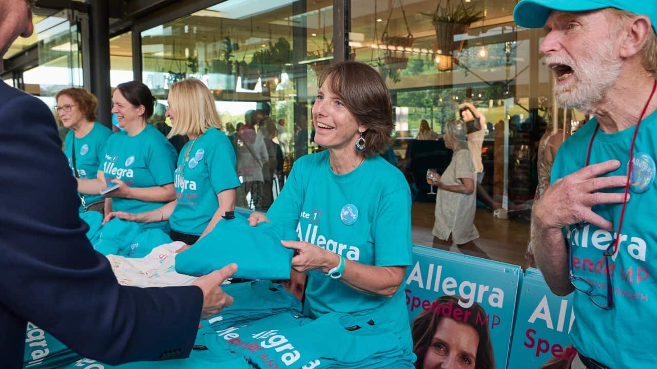ALLEGRA SPENDER CAMPAIGN LAUNCH