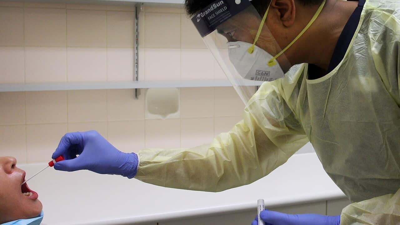 A COVID-19 test at Sydney's St George Hospital.