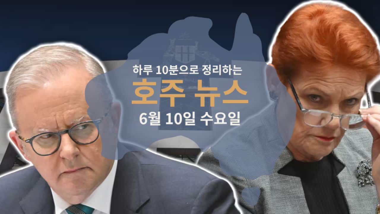 Daily News (4).png