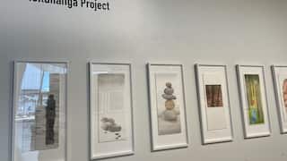 IMG_8669.jpeg