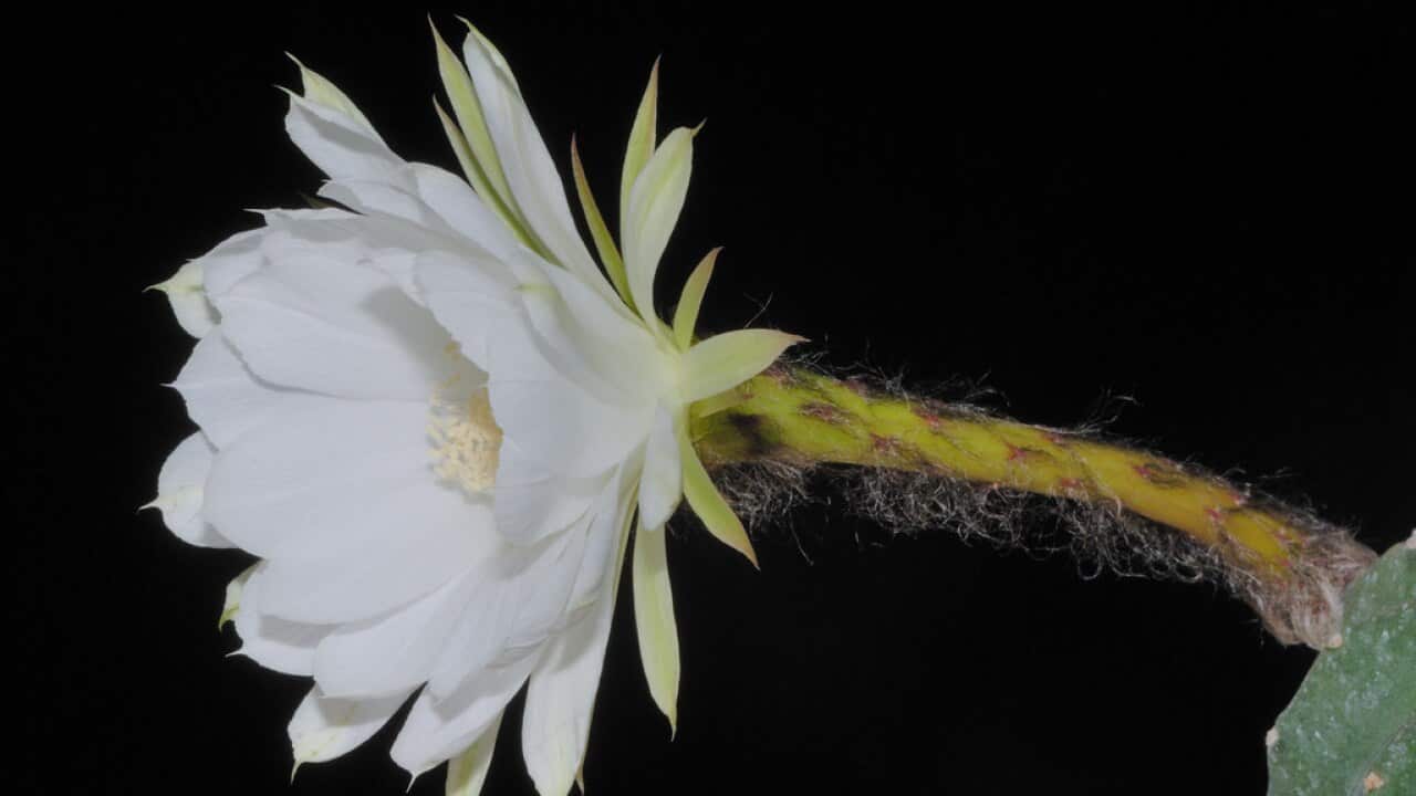 Image for read more article 'READ MORE'