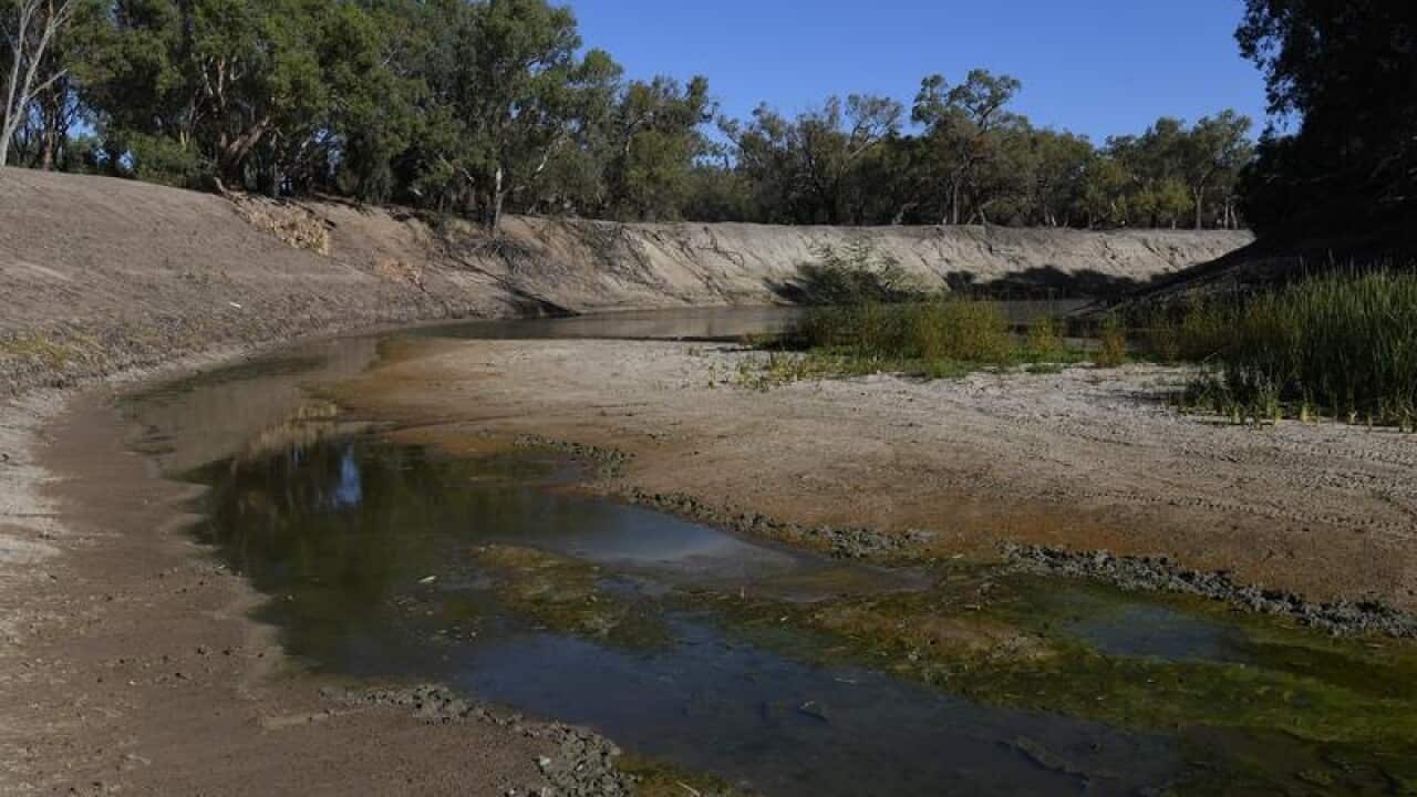 The farmers want to swap the collectible toy for irrigation water.