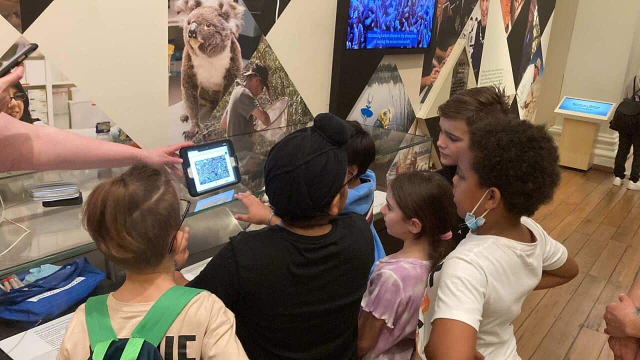 Image for read more article ''