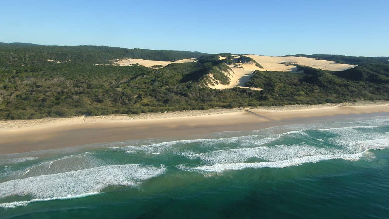 FRASER ISLAND STOCK