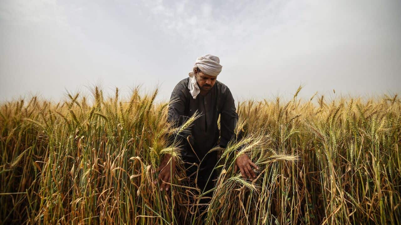 Image for read more article 'READ MORE'