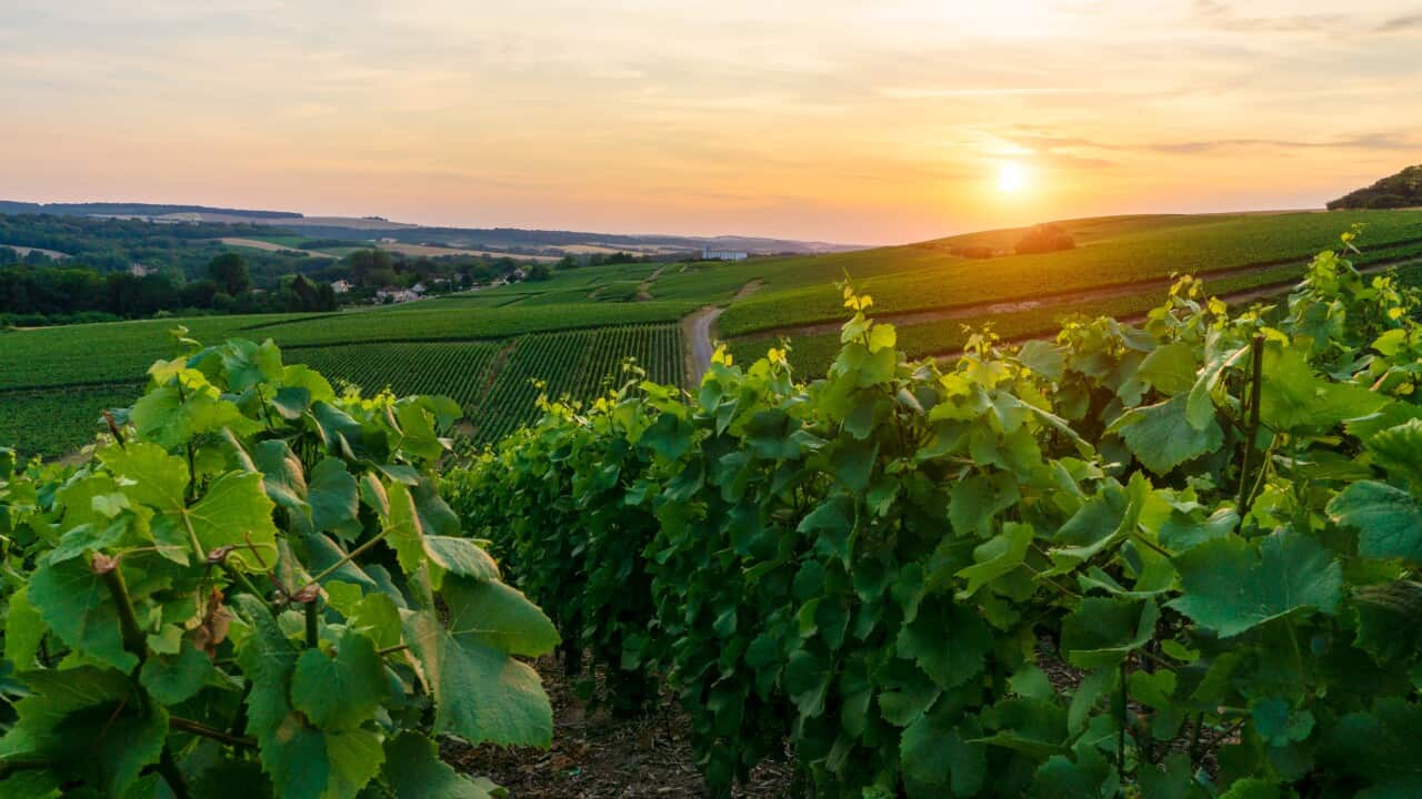 Image for read more article ''