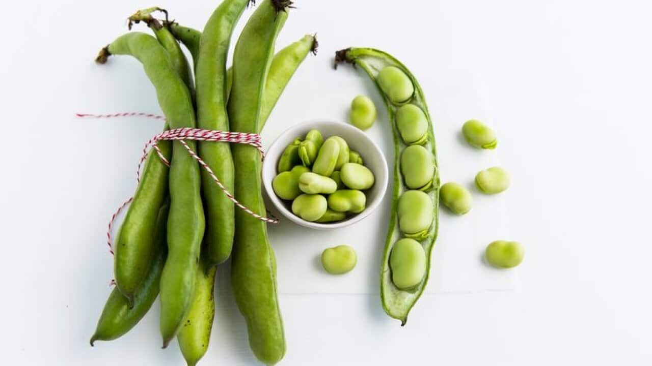 Raw Broad beans