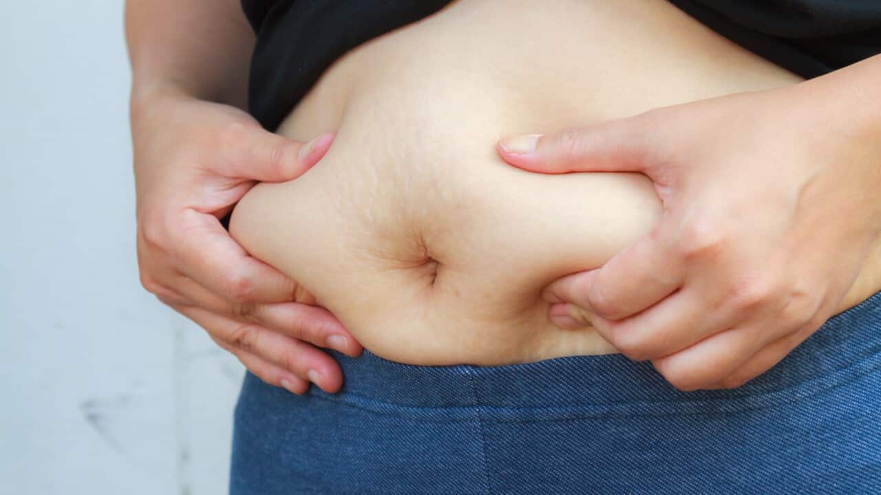 How a better understanding of the seven ages of appetite could help us stay healthy