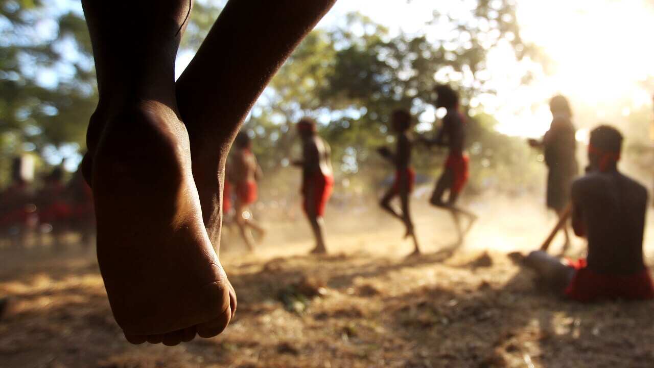 Cape York Peninsula Indigenous children getty.jpg