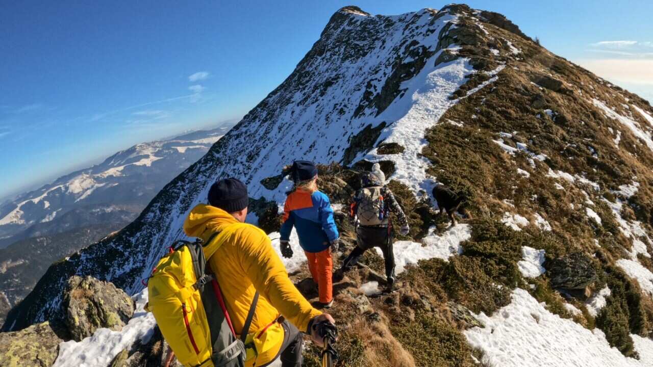 Image for read more article ''